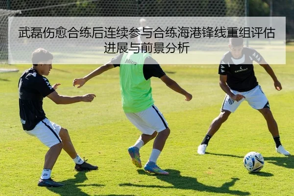 武磊伤愈合练后连续参与合练海港锋线重组评估进展与前景分析（K1Sports）